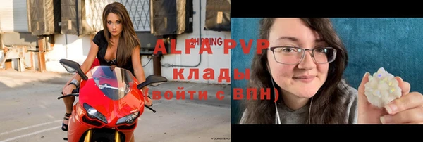 дурь Бородино