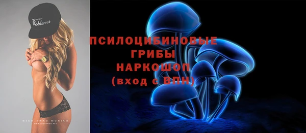 дурь Бородино