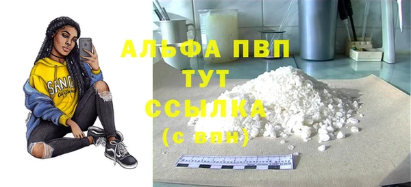 дурь Бородино