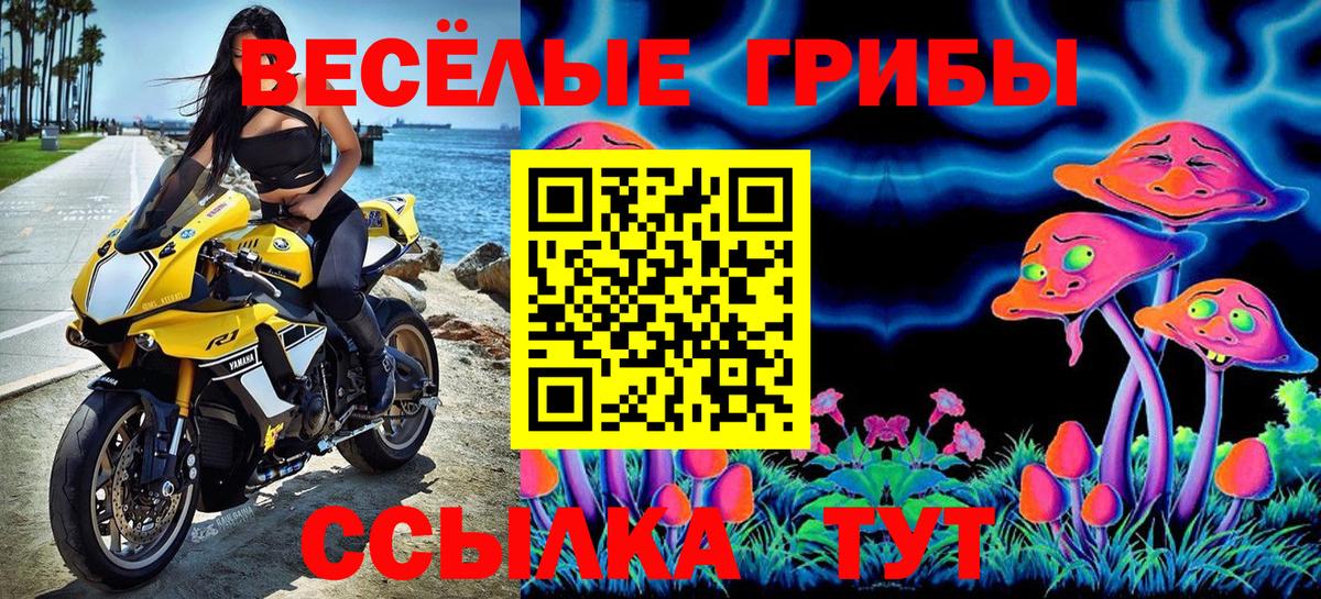 Псилоцибиновые грибы GOLDEN TEACHER Воркута