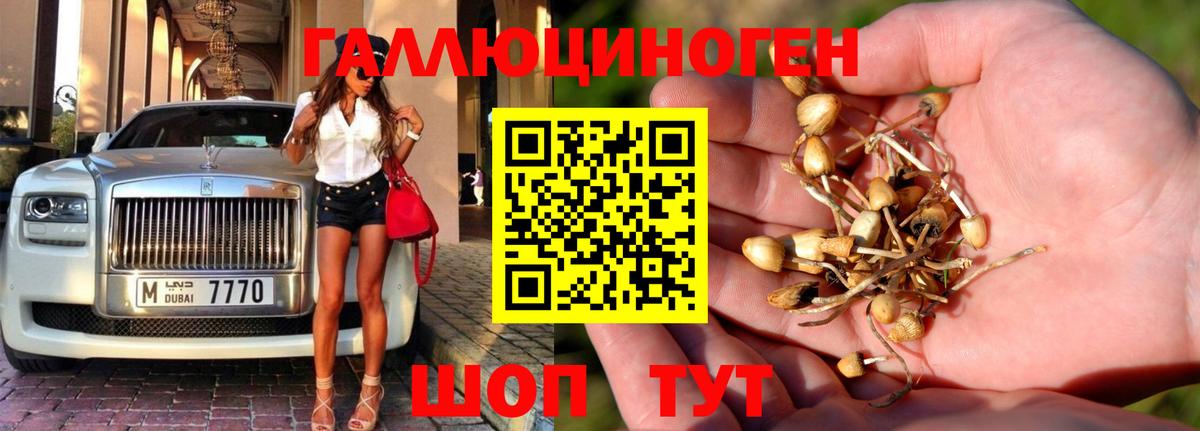 Воркута  Псилоцибиновые грибы Psilocybine cubensis  Вход с VPN  купить наркотик  Псилоцибиновые грибы Cubensis 